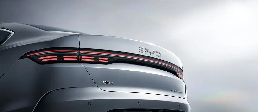 seal_5_dmi_feature_2_69346a12cd