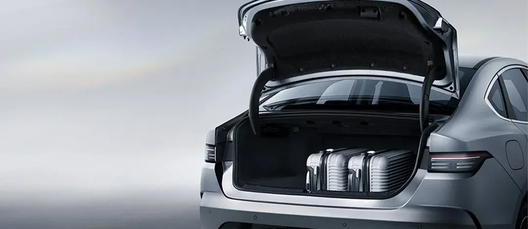 seal_5_dmi_feature_3_e087fe911b